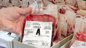 جزائريون يستعجلون التبرع بدمائهم لغزّة