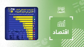 كم يصمد احتياطي النقد الأجنبي في الدول العربية؟