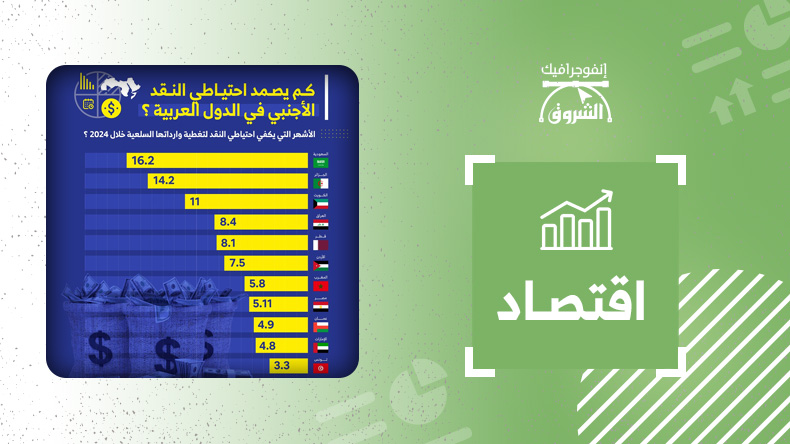 كم يصمد احتياطي النقد الأجنبي في الدول العربية؟