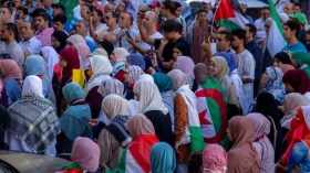 Rassemblement de soutien au peuple palestinien à Alger