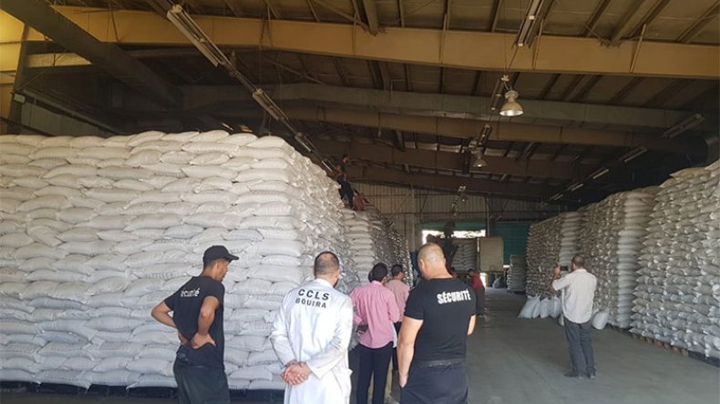 آلاف الأطنان من البقول الجافة لتموين غرب البلاد