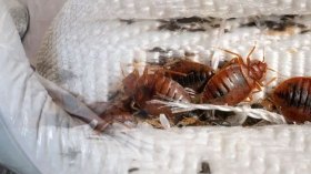 أخبار الجزائر ليوم الثلاثاء 10 أكتوبر 2023