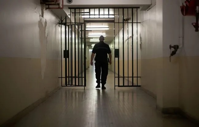 Zinédine Zidane en prison pour trafic de drogue! L’histoire folle qui agite la justice