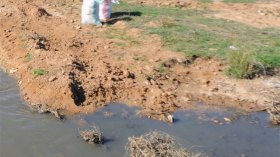 اكتشاف مساحات زراعية مسقية بمياه الصرف في سطيف