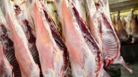 أخبار الجزائر ليوم الأربعاء 04 أكتوبر 2023