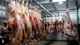 إجراءات استعجالية لتسريع استيراد اللحوم الحمراء