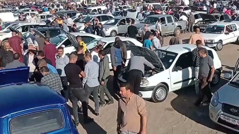 أسواق السيارات مستقرة والبيع والشراء مُجمّدان