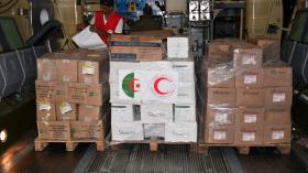 دخول أولى المساعدات الإنسانية الجزائرية إلى غزة