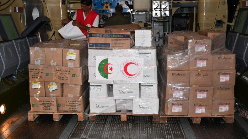 دخول أولى المساعدات الإنسانية الجزائرية إلى غزة