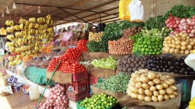 وزارة الفلاحة: وضع نشرية يومية لمؤشر أسعار المواد الفلاحية