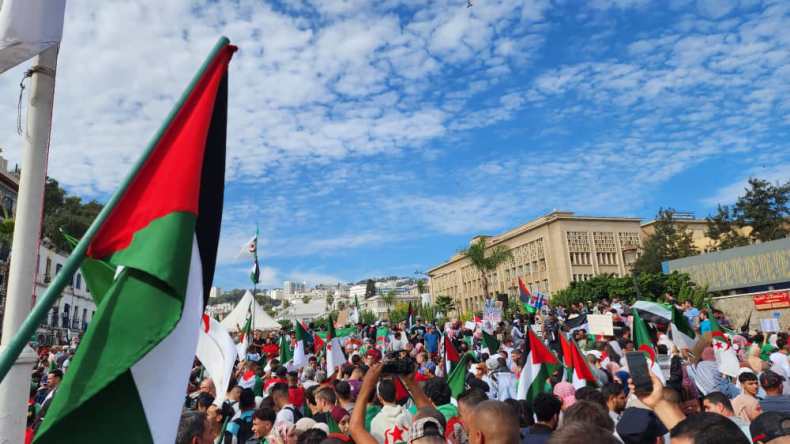 بالفيديوهات.. الجزائريون يهبُون عبر 58 ولاية نصرة لغزة