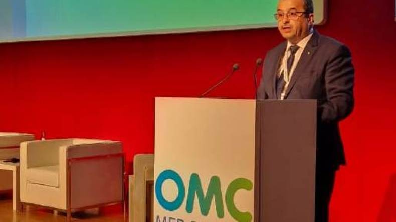 إيطاليا تشكر الجزائر على جهودها لضمان أمن الطاقة بالمنطقة