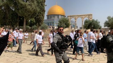 Des colonisateurs prennent d’assaut la mosquée d’Al-Aqsa