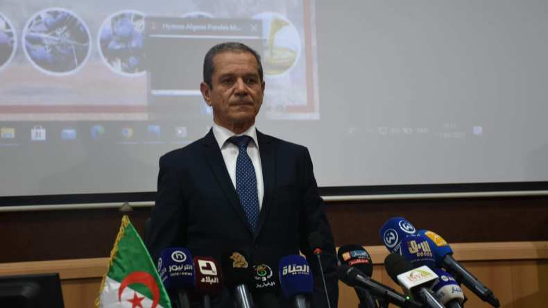 وزير الفلاحة: العدد الحقيقي لشعبة الأغنام لا يتجاوز 17 مليون رأس