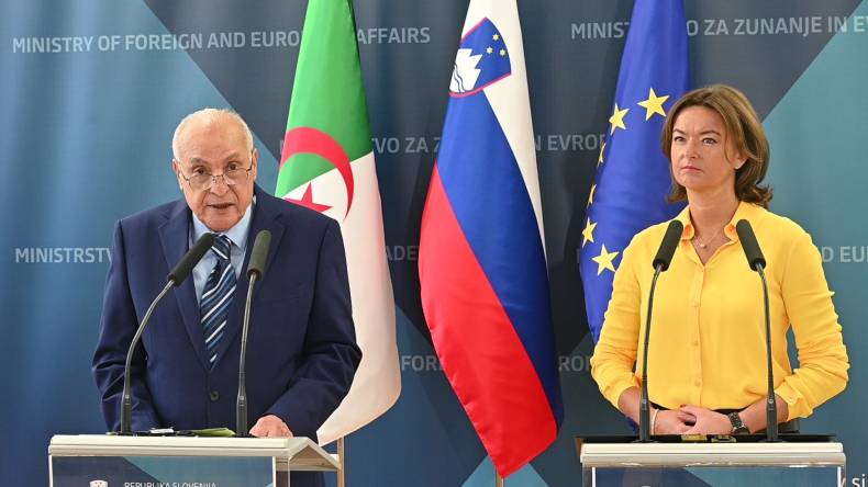 تنسيق جزائري سلوفيني في مجلس الأمن