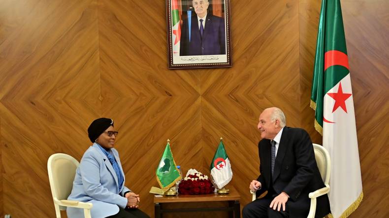 عطاف يستقبل رئيسة المحكمة الإفريقية لحقوق الإنسان