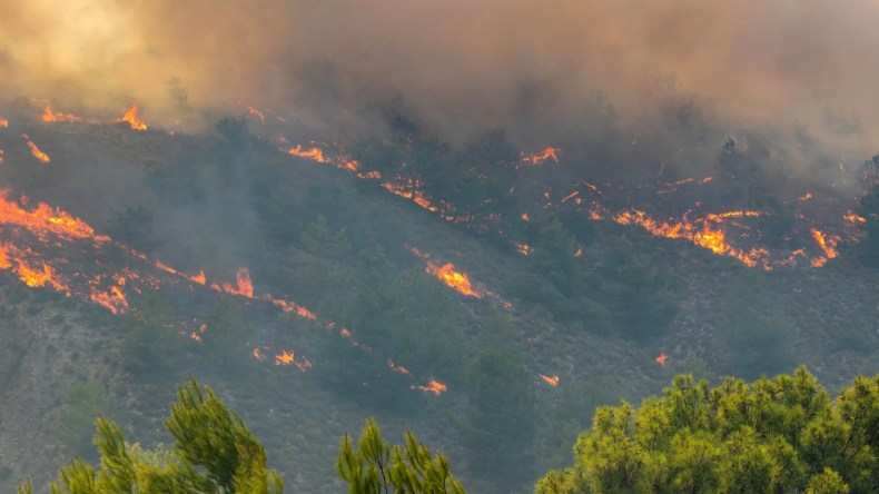 مروحيات وطائرات دون طيّار وعتاد ضخم.. خطّة الجزائر لحماية غاباتها!