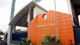 Sonelgaz examine avec le français “Sediver” l’état des projets communs