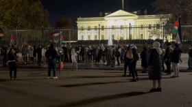 مظاهرة بواشنطن احتجاجا على اقتحام الاحتلال لمستشفى الشفاء (فيديو)