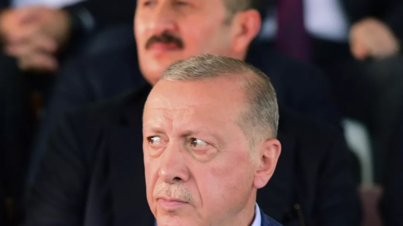 بالفيديو.. نحلة على كتف أردوغان وهذا ما فعله حارسه الشخصي!