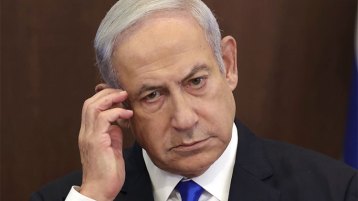 الـ”بي بي” تحت الشجرة