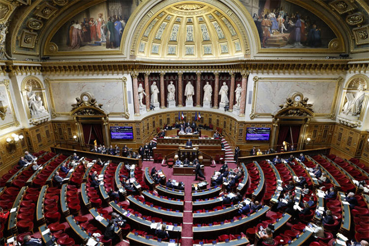Mass Mobilization Against The New Immigration Bill in France