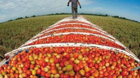 منصة رقمية لتقديم طلبات الاستفادة من أراض فلاحية