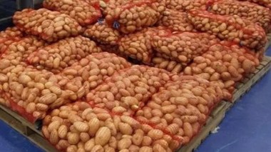 Pommes de terre: Un stock stratégique de plus de 130.000 tonnes