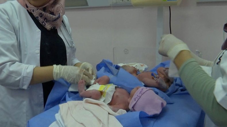 سجلات الحالة المدنية الجزائرية تتزين بأسماء فلسطينية نضالية