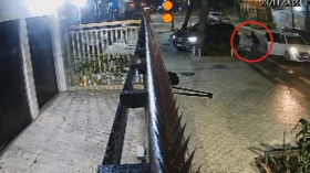 بالفيديو.. مهاجم البرازيل السابق يتعرض لعملية مطاردة وسطو مسلح