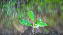 حالة الطقس: أمطار رعدية عبر هذه الولايات