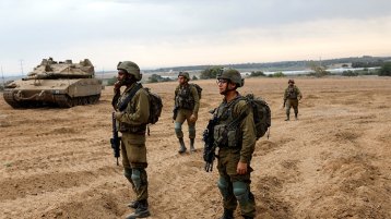 حزب الفيل وعرس بغل