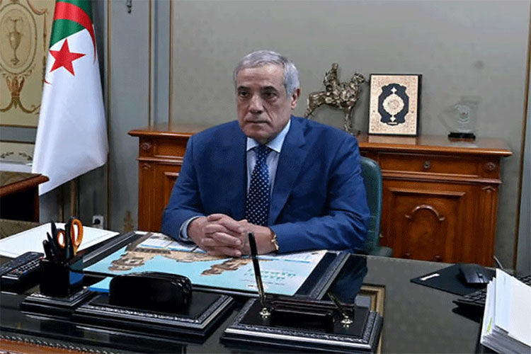 Algeria Wants to Mobilize Solidarity With Palestine and Western Sahara