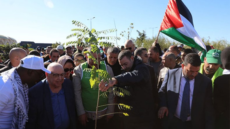 بعدد شهداء فلسطين.. غرس 14523 شجيرة في وهران