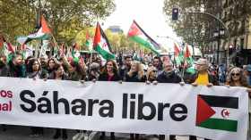 الصحراء الغربية : الآلاف يتظاهرون في مدريد دعما لتقرير المصير