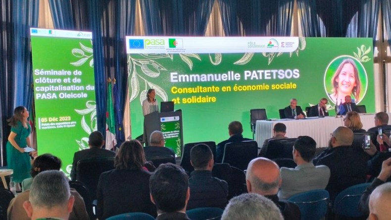 تأهيل شامل لتعزيز شعبة الزيتون بـ 3 ولايات