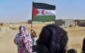 ELDH Condemns Moroccan Violations Against Sahrawi Human Rights Defenders