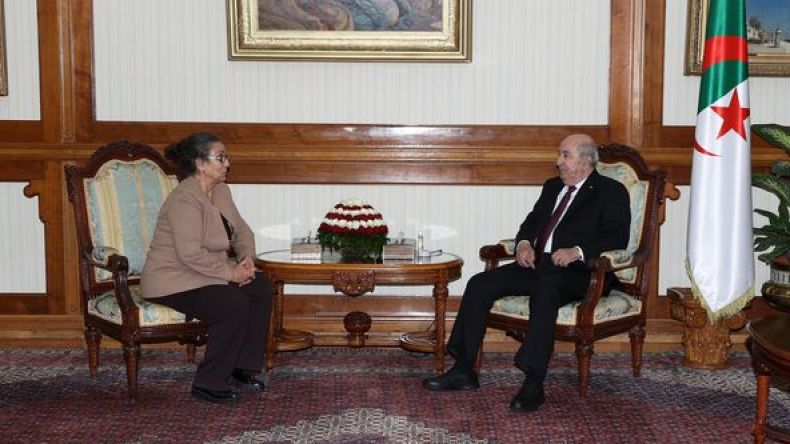 الرئيس تبون يستقبل الأمينة العامة لحزب العمال لويزة حنون (فيديو)