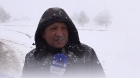 سطيف: مواطنـون يستمتعـون بالثلـوج بأعالـي جبـال مقـرس