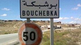 أكثر من 400 ألف سائح أجنبي دخل عبر مركز “بوشبكة” في تبسة