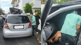 بعدما حققت أمنيته وقابلته.. مقتل مغنية على يد معجب داخل سيارتها!