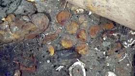 Ce pays tente de remonter un trésor inestimable d’une épave vieille de 315 ans