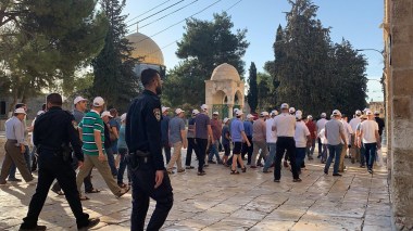 Des colonisateurs profanent la mosquée d’Al-Aqsa