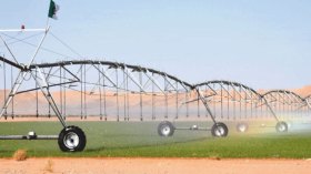 كل التسهيلات لتطوير الزراعات الاستراتيجية بالجنوب