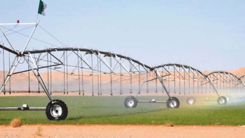 كل التسهيلات لتطوير الزراعات الاستراتيجية بالجنوب