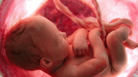 دراسة حديثة: هرمون ينتجه الجنين يحدث هذه المشكلة لدى الحوامل!
