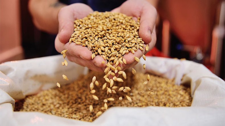 بعثات برلمانية للتحرّي عن مخزون الحبوب لدى الفلاحين