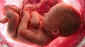 7 أشياء مذهلة يفعلها الأجنة في بطون أمهاتهم