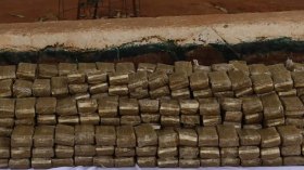 احباط إدخال 6 قناطير من الكيف عبر الحدود مع المغرب