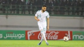 خبر سارّ لـ “توبة”